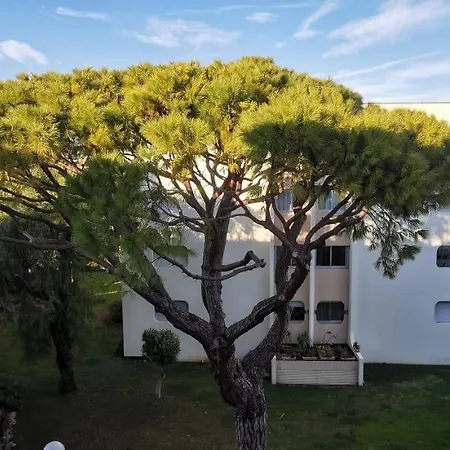 Magnifique Dans Avec Piscine Apartment
