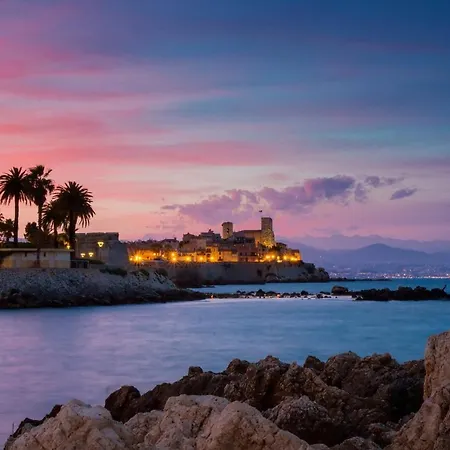 Magnifique Dans Avec Piscine Apartment Antibes