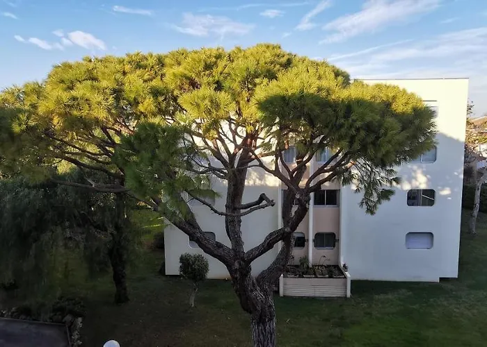Magnifique Dans Avec Piscine Apartment
