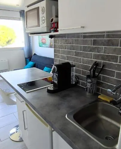 Magnifique Dans Avec Piscine