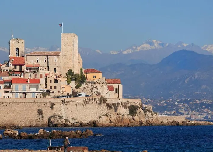 Magnifique Dans Avec Piscine Apartment Antibes