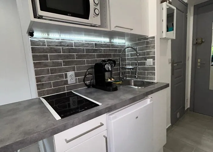 Magnifique Dans Avec Piscine Apartment Antibes