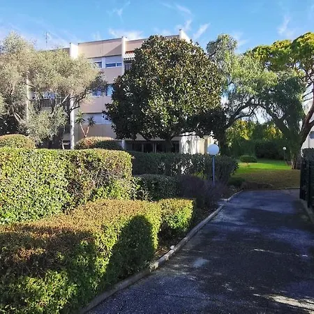 Magnifique Dans Résidence Avec Piscine * Antibes