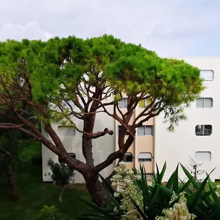 Magnifique Dans Résidence Avec Piscine Antibes