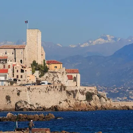 Magnifique Dans Résidence Avec Piscine Appartement Antibes