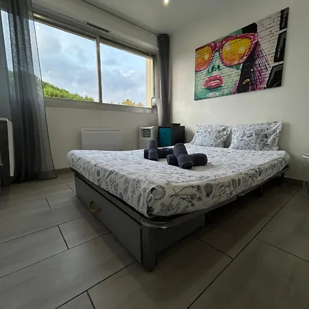 Magnifique Dans Résidence Avec Piscine Appartement *