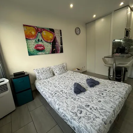 Magnifique Dans Avec Piscine Антиб