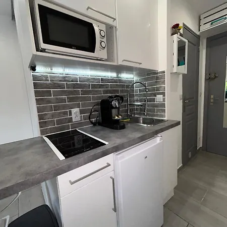 Magnifique Dans Résidence Avec Piscine Appartement Antibes